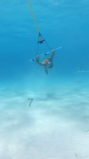 【淮阳海报】巍巍羲陵,就是一部浓缩的历史